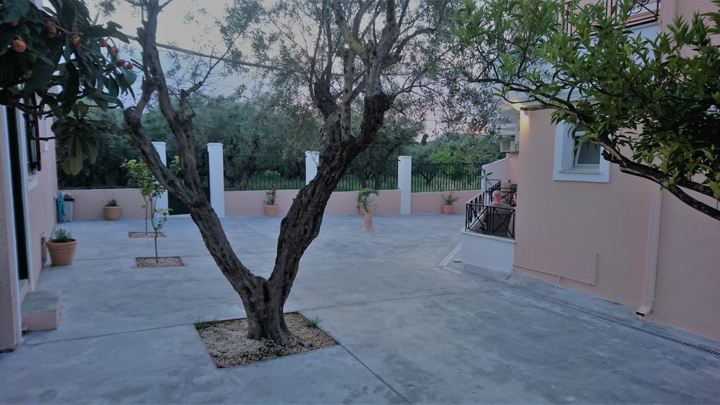 Doras Zante Studios & Apartments Argassi Ngoại thất bức ảnh