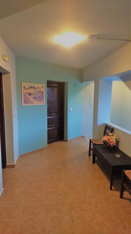 Doras Zante Studios & Apartments Argassi Ngoại thất bức ảnh